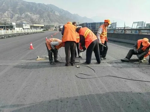 毛道乡道路桥梁病害治理